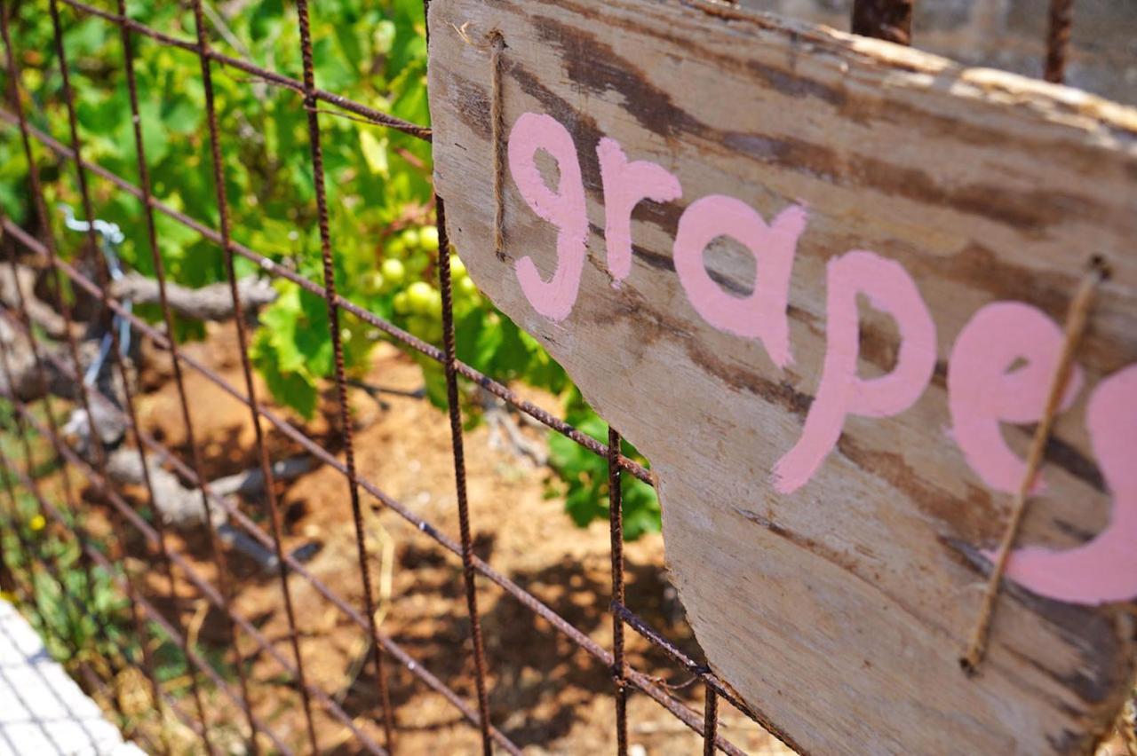 Holiday home Figs & Grapes * Cosy Small House * Marmari * South Evia Marmari (Evia)