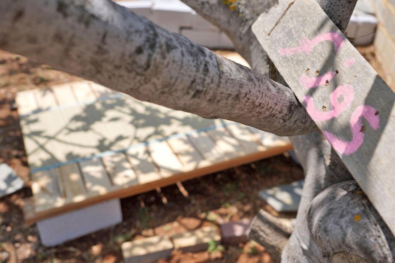 Сasa de vacaciones Figs & Grapes * Cosy Small House * Marmari * South Evia Marmari (Evia)