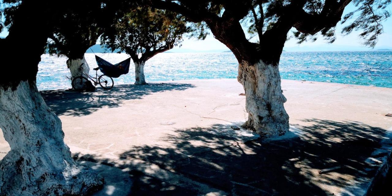 Holiday home Figs & Grapes * Cosy Small House * Marmari * South Evia Marmari (Evia)